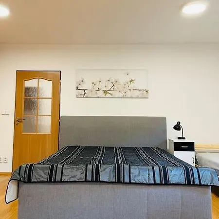 Appartamento Family-friendly 5 Praga