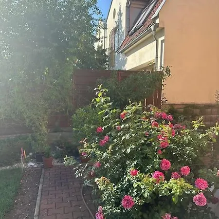 Apartament Family-friendly 5 *
